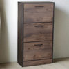 Virginia Shoe Storage Cabinet with 3 Compartments Texus