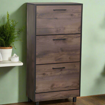 Virginia Shoe Storage Cabinet with 3 Compartments Texus