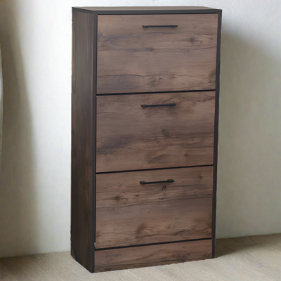 Virginia Shoe Storage Cabinet with 3 Compartments Texus